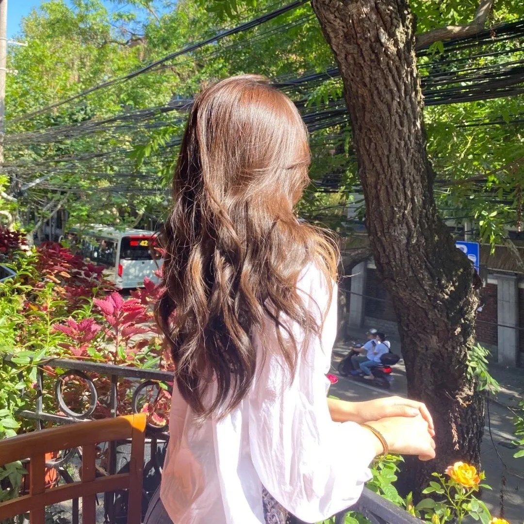 生命之书